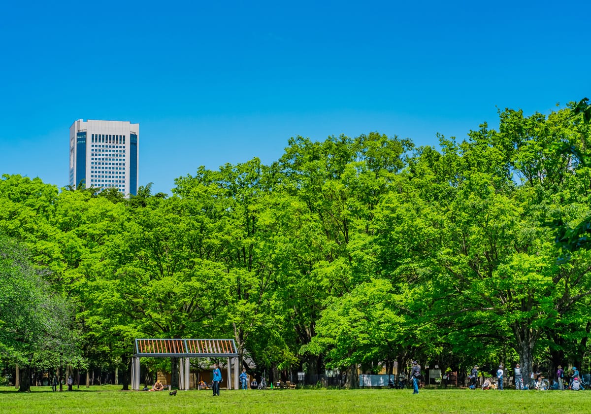 代々木公園